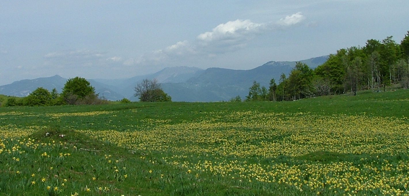 Plateau de Hauteville à proximité de l'hôtel l'Ange de la Vallée